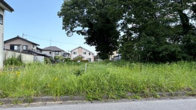 売地